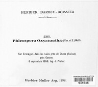 Image Associated With the Occurence